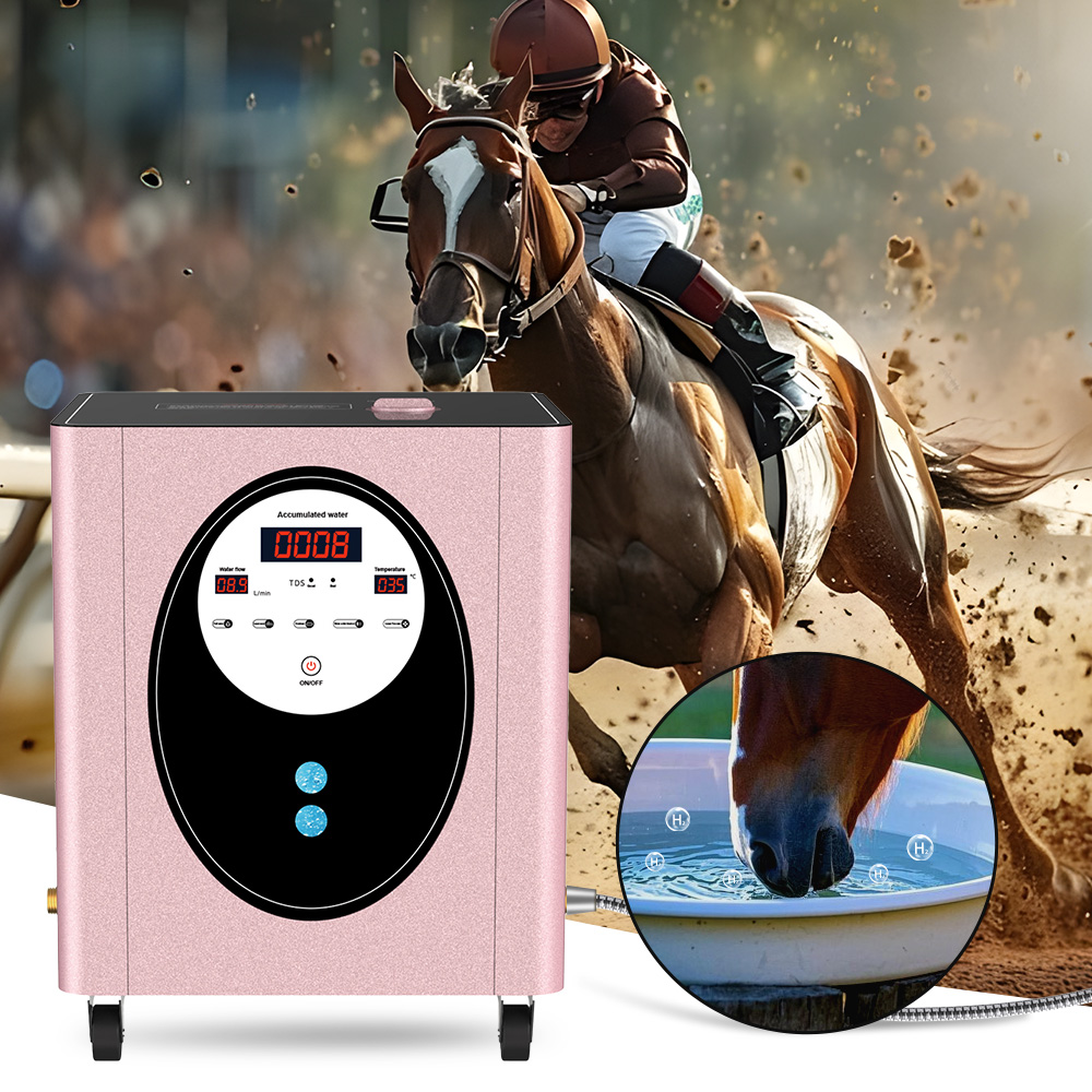 SUYZEKO Whole House Hydrogen W - Spa Wellness Health review and price